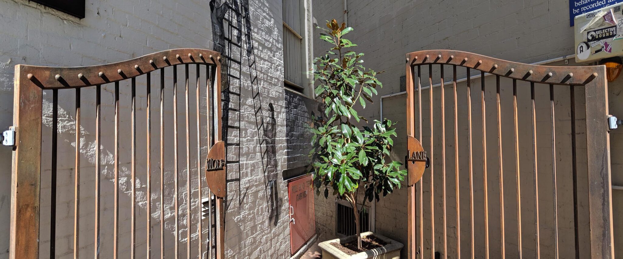 For Profit Partner 1